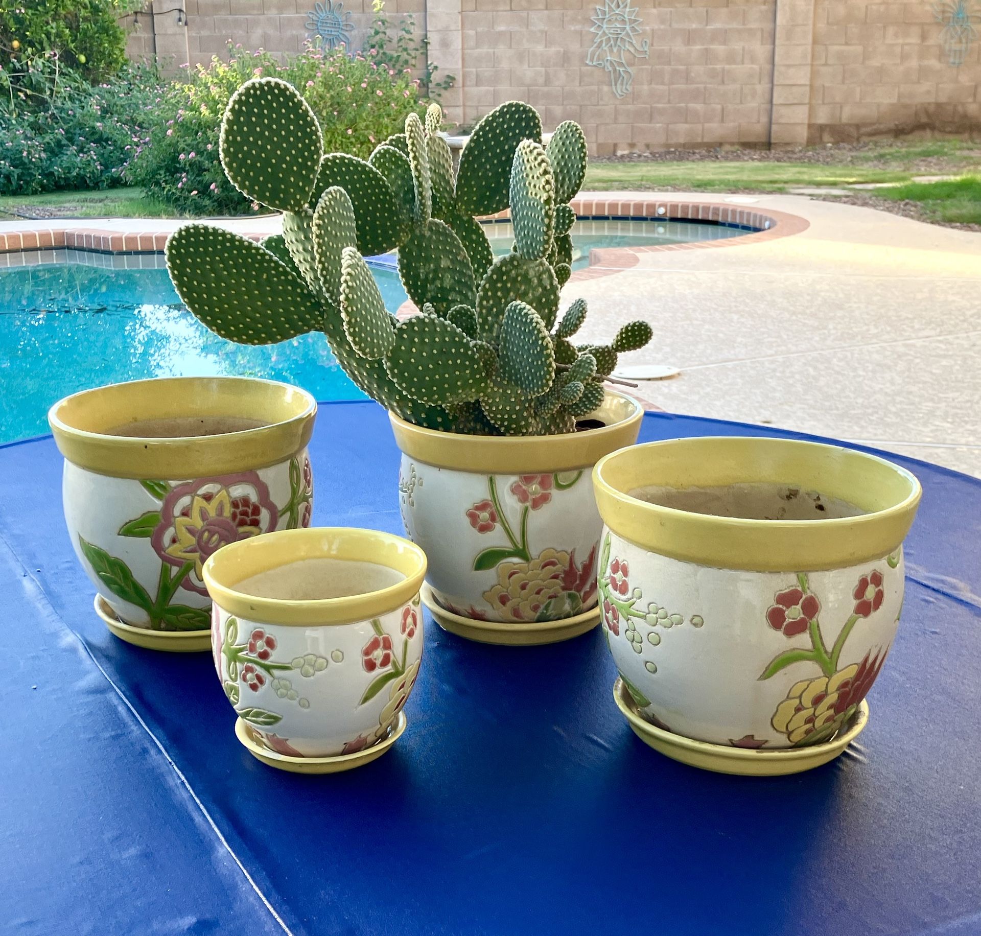 Garden Pots With Cactus 