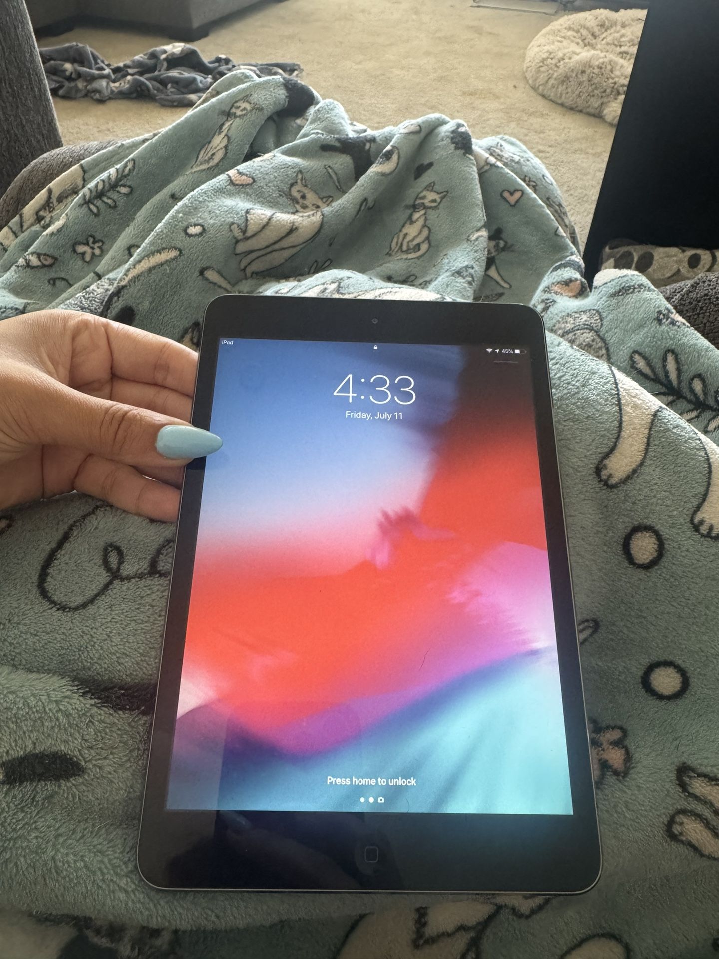 iPad Mini