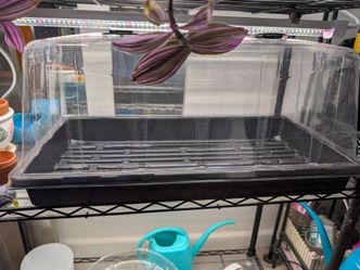 Plant seeding trays 10x20