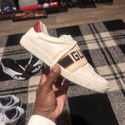 Gucci SNEAKERS