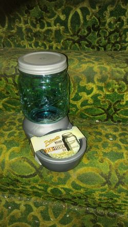 Petmate 2 lb mason jar pet feeder