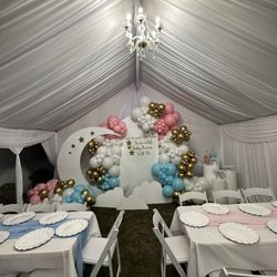 Gender Reveal Party Decor