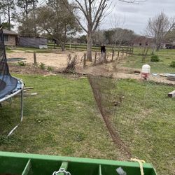 Free 50 plus feet of horse fence. 
