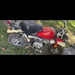 Honda Z50 Clone Mini Bike 