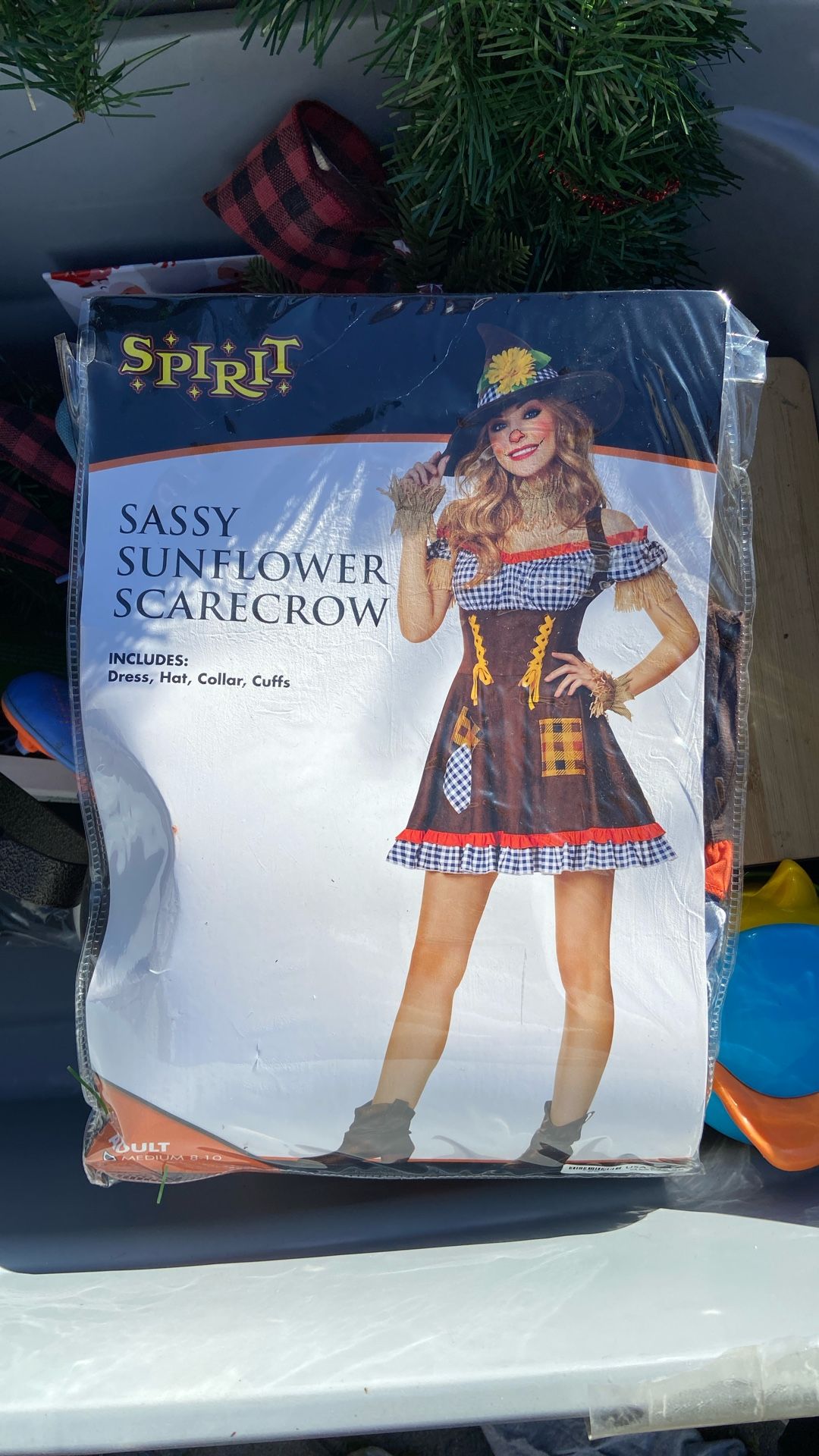 Scarecrow M women