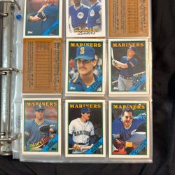 Baseball Card Lot In Binder