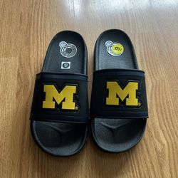 Nike University of Michigan slides Sz 9 New