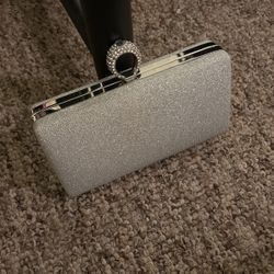 Grey/Silver Purse