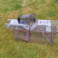 Humane Animal Traps