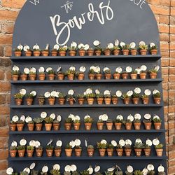 Wedding/Event Shelves