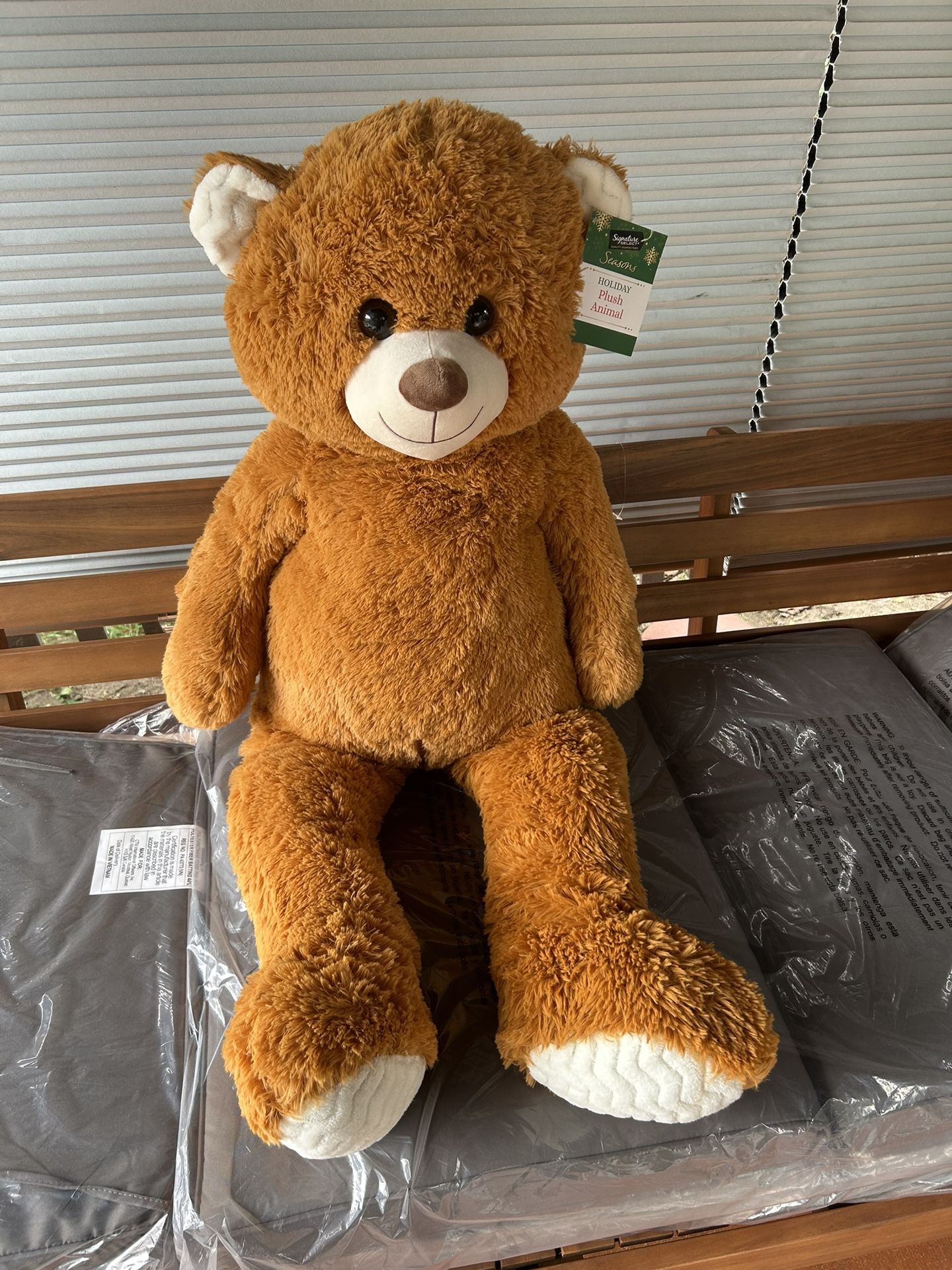 Big Teddy Bear 🧸 