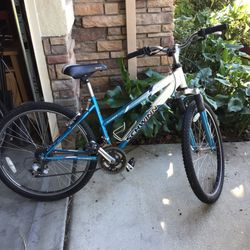 Female Schwinn Bike (Excellent Condition)