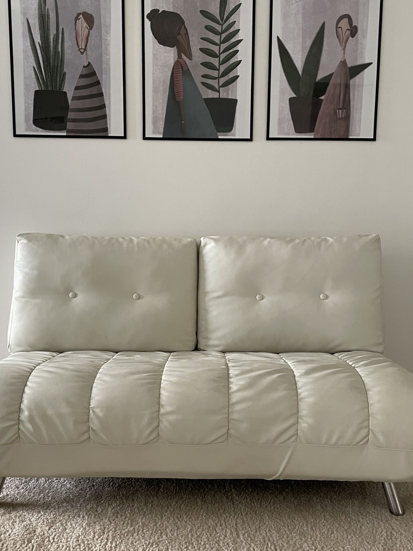 Sleeper Sofa / Futon