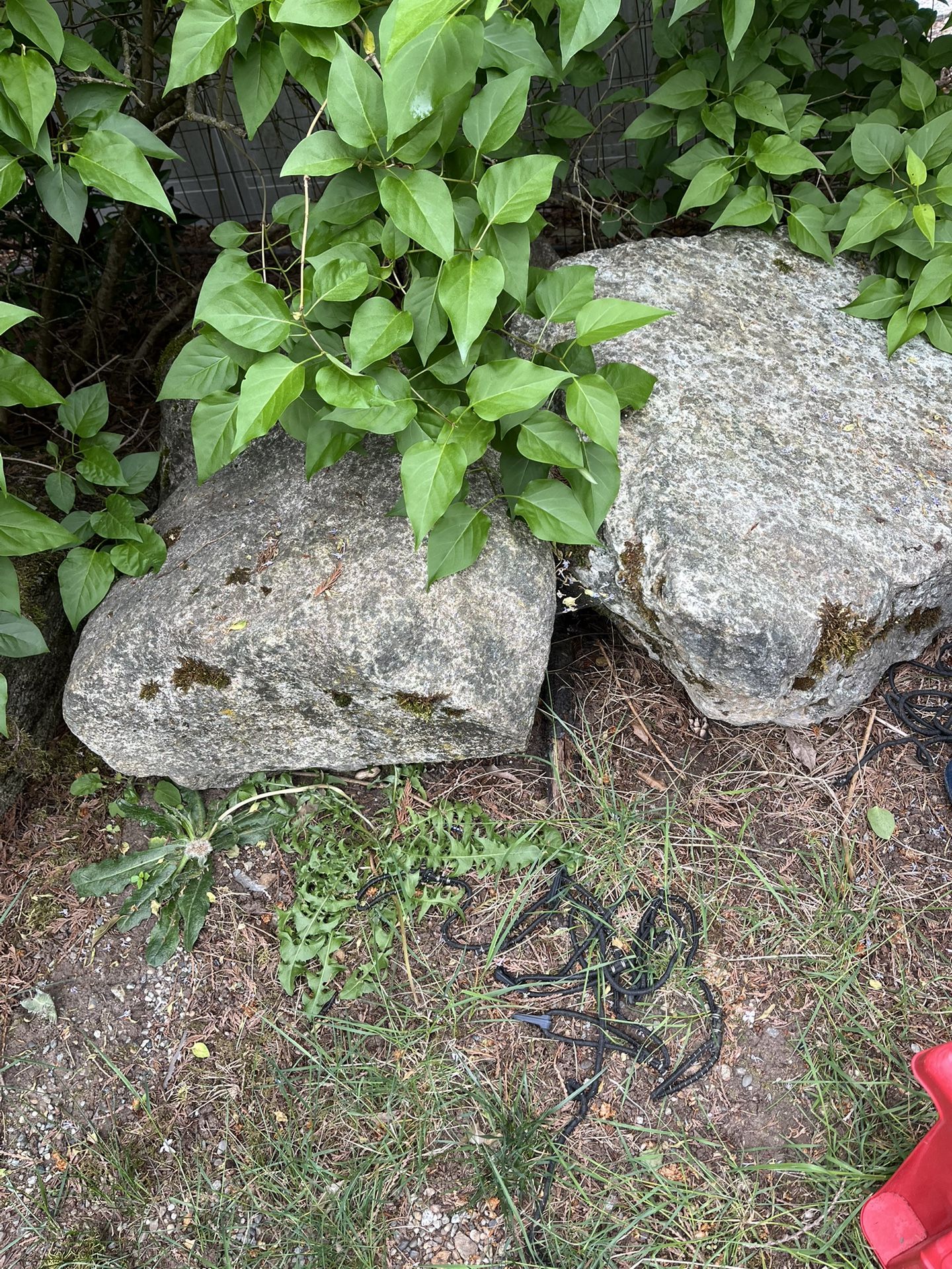 Rocks