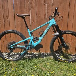 Santa Cruz Bronson 