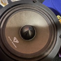 Black Diamond 6.5 Speaker