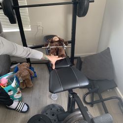 Weights And  Bench 