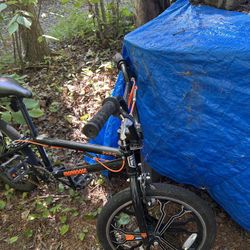 Mongoose 20” Bike