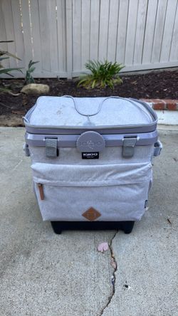 Igloo Cooler