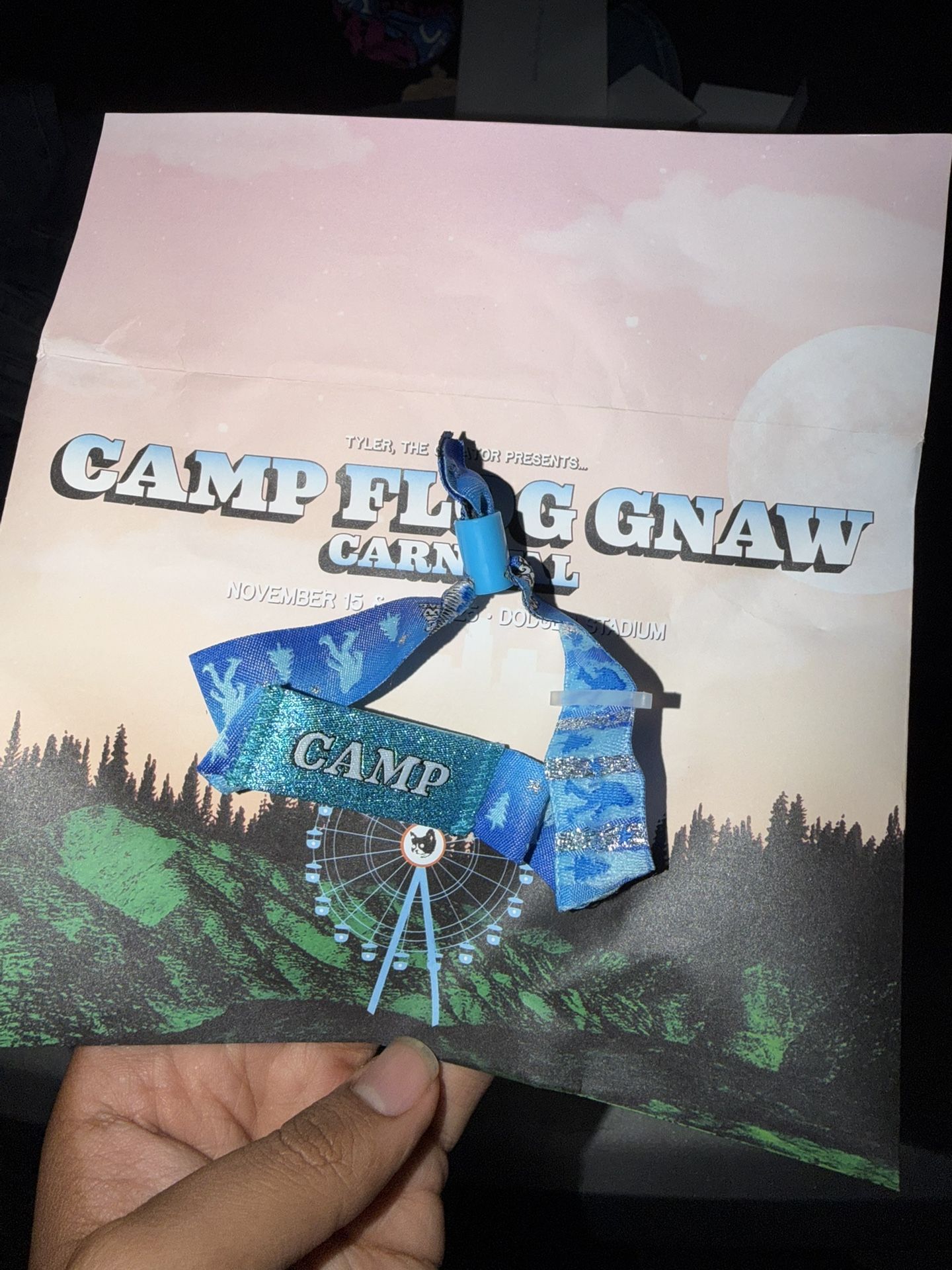 Camp Flog Gnaw Wristband 