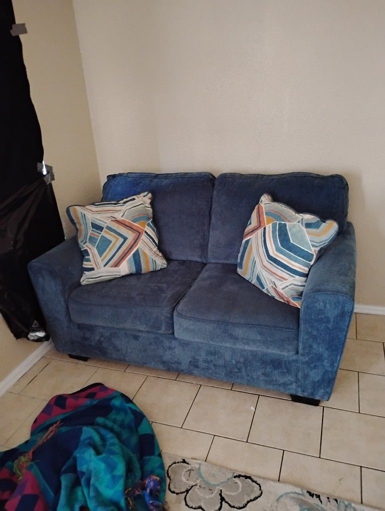 Couch &  Love Seat