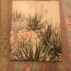 Blooming Succulents Photo Canvas