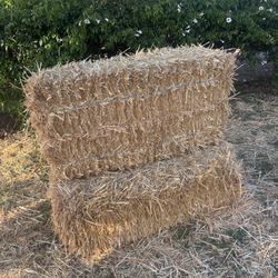 Hay Bells 