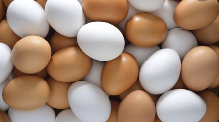 Free range chicken eggs/ custom built chicken coops