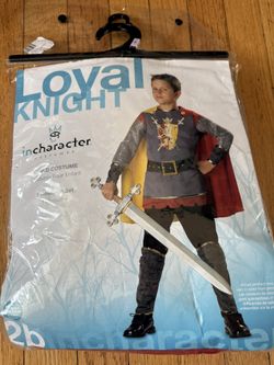 Boys Knight Halloween Costume Size L 10 y.o.