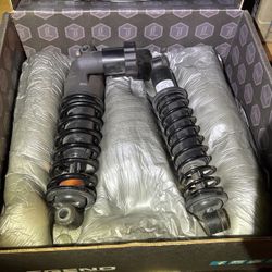 OEM Rear Shocks