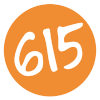 tech 615