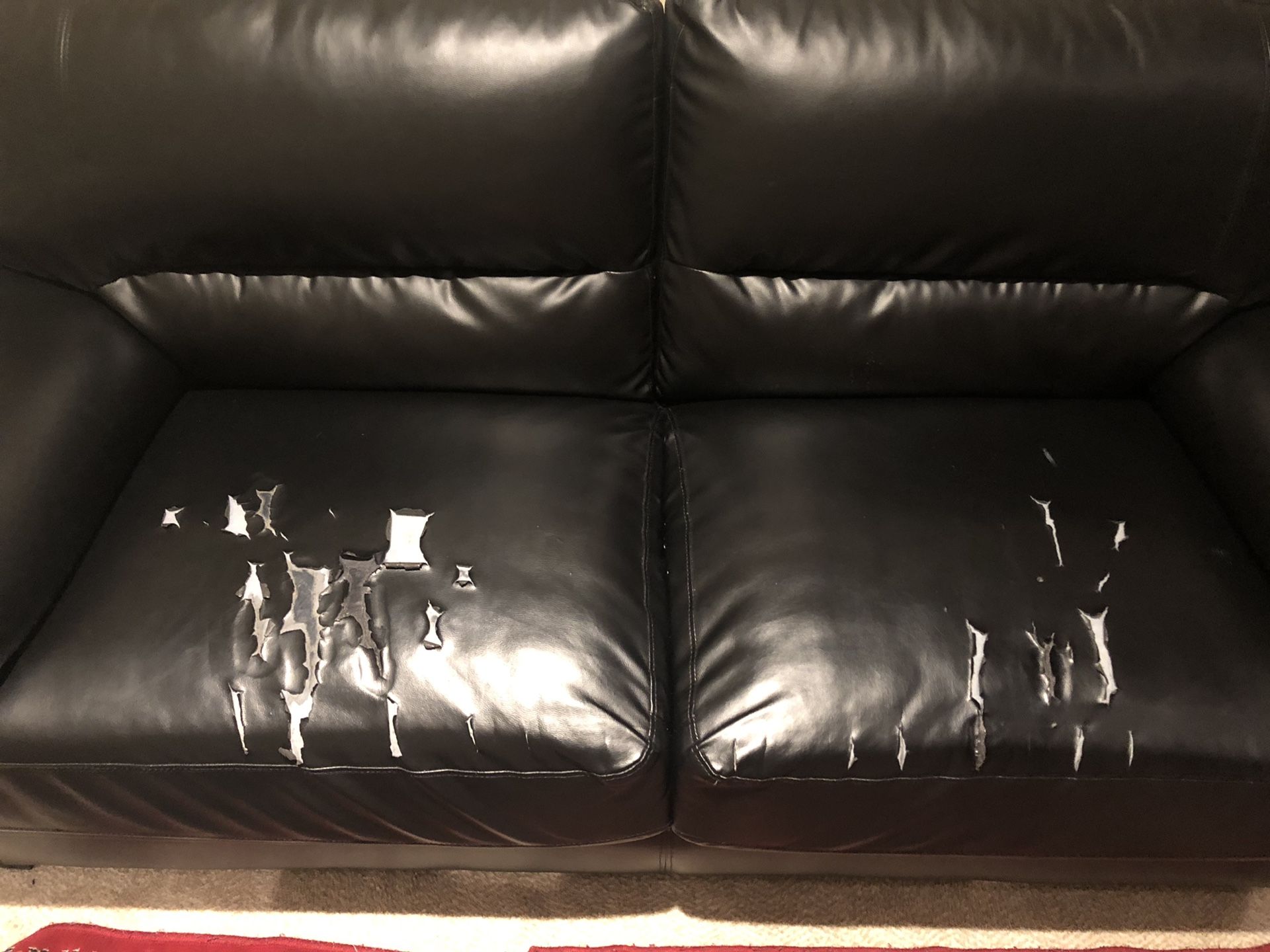 Leather sofa free