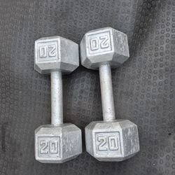 20lbs  Dumbells Weights