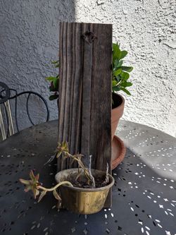 Wooden plant holder. Measurements 14 inch long and 4/12 in width