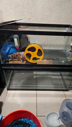 2 Reptile/Rodent Terrariums
