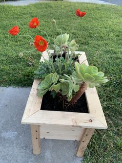 Handmade plants stand serious inquires no bargain