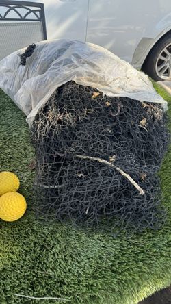 Pelotas De Béisbol Y Maya