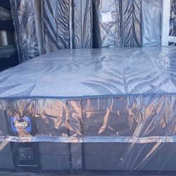 Brand New Queen Size Plush Sealy Mattress And Box Spring Free Delivery Depends On Location 