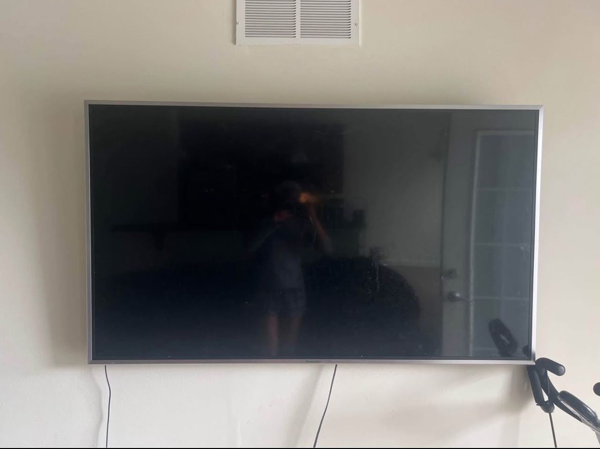 Panasonic TV With the TV with the Roku Equipment