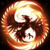 Phoenix 711