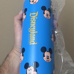 Disney  Mickey Stainless Steel Water Bottle