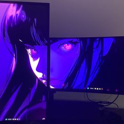 Monitor (both monitors duel Monitor Stand
