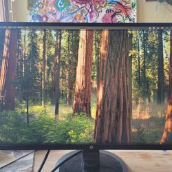 HP N246v 24" Full HD Monitor - Works Perfectly 