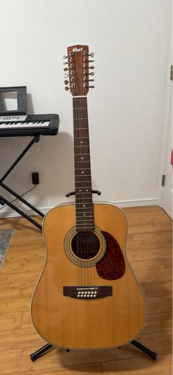 12 string guitar