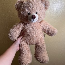 Build a Bear Workshop Teddy Bear