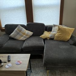 Grey sectional couch