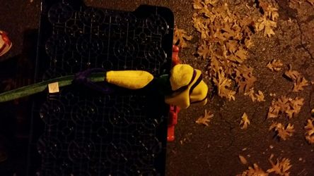 Flexible stem flower toy for kids