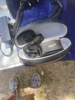 Shock Callor For Doge