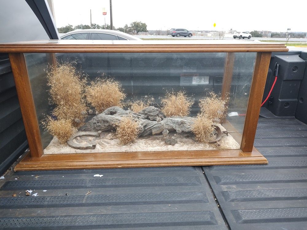 Wood/Glass Taxidermy Display Case