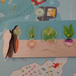 Lovevery Peg Puzzle